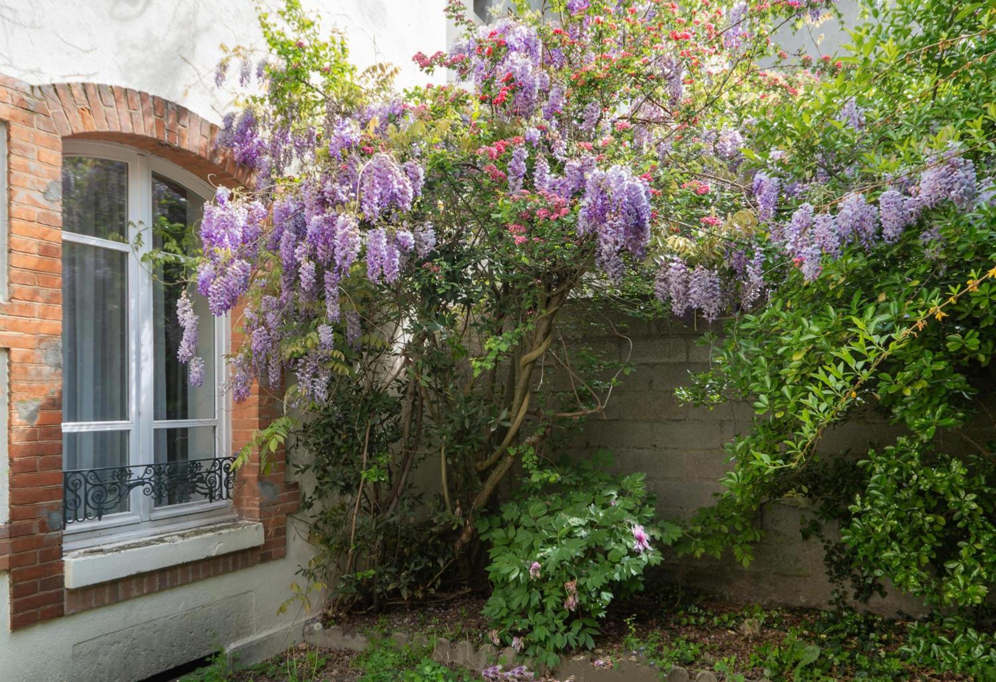 Residence Bains Callou Situee Face Aux Thermes ヴィシー エクステリア 写真